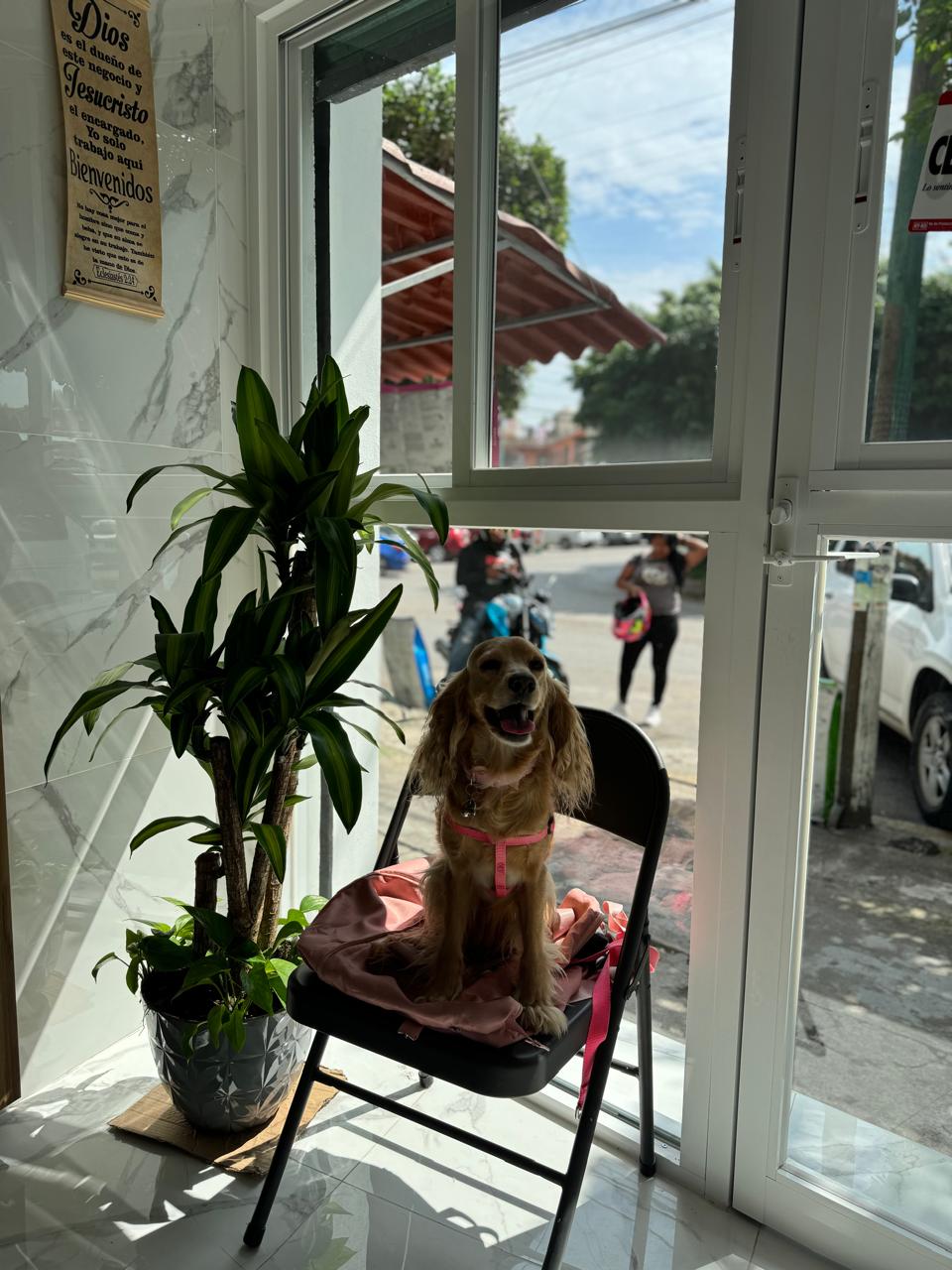 Vacunación y desparasitación completa